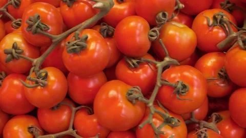 Vegetables at the farmers market Stock Footage