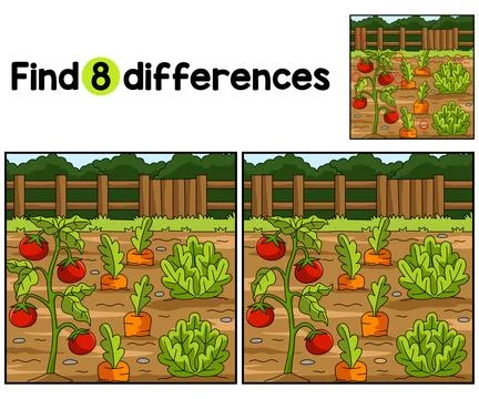 Vegetables Field Farm Find The Differences イラスト素材