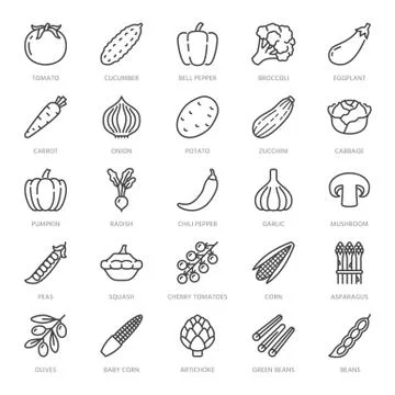 Vegetables flat line icons set. Fresh food - tomato, broccoli, corn, pepper Stock Illustration