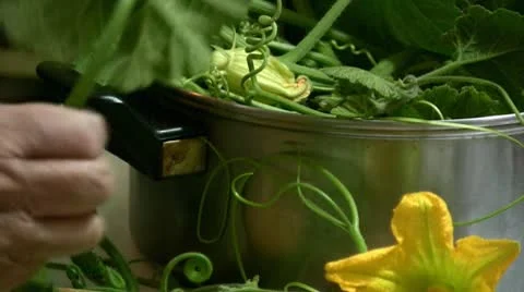 Vegetables 스톡 동영상 8951054