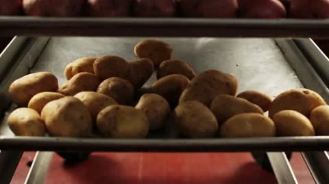 Vegetables Stock Footage 12273688