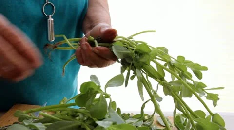 Vegetables Stock-Footage 21833558