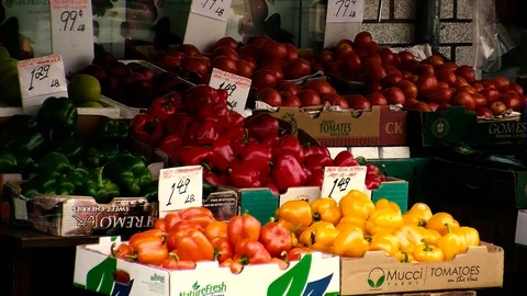 Vegetables Stock Footage 108554405