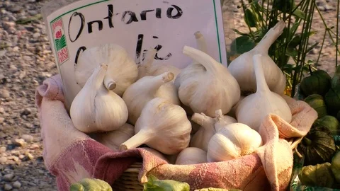 Vegetables Stock Footage 108554586