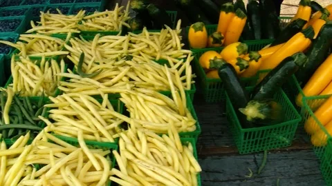 Vegetables Stock Footage 108554830