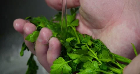 Vegetables Stock Footage 237371080