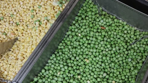 Vegetables frozen in the freezer Stock Footage 285328232
