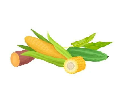 Vegetables for Good Memory and Brain Function Isolated on White Background Illustrazione stock