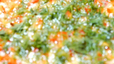 Vegetables with greens are fried Stock Footage 104819683