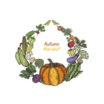 Vegetables hand drawn for menu or advertising. Design template - Vector Stock Illustration