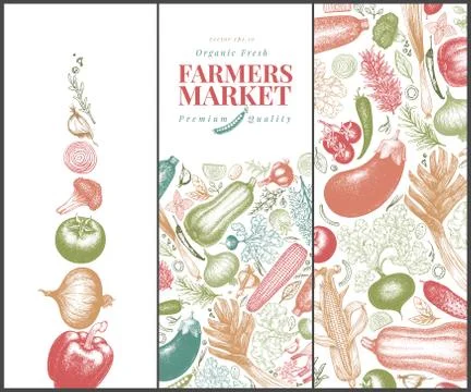 Vegetables hand drawn vector banner set. Retro engraved style illustrations. Can Stock Illustration