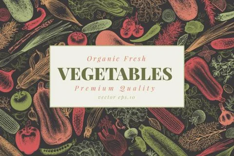 Vegetables hand drawn vector illustration. Retro engraved style banner. Can be Stock Illustration