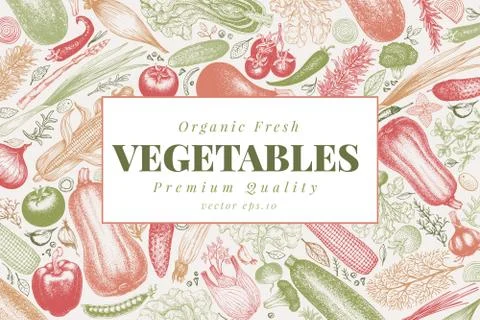 Vegetables hand drawn vector illustration. Retro engraved style banner. Can be Stock Illustration