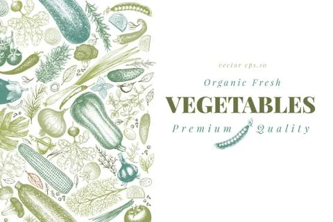 Vegetables hand drawn vector illustration. Retro engraved style banner. Can be Stock-Illustration