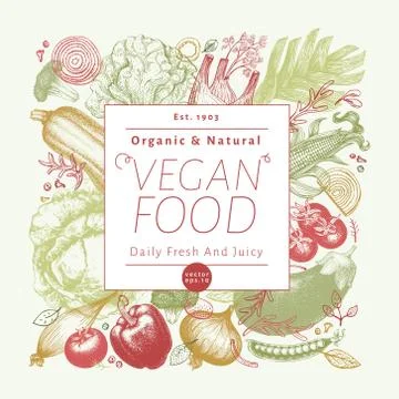 Vegetables hand drawn vector illustration. Retro engraved style frame design Stock Illustration