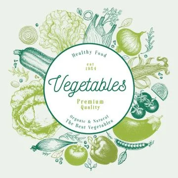 Vegetables hand drawn vector illustration. Retro engraved style frame design Stock Illustration