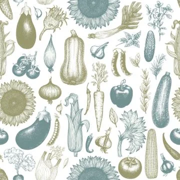 Vegetables hand drawn vector seamless pattern. Retro engraved style background Stock Illustration
