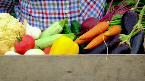 Vegetables in the hands of a man in the garden. Selective focus. Stock Footage 158998645