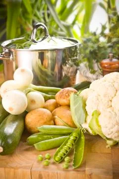 Vegetables at harvest time Stock-Fotos