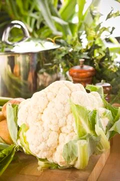 Vegetables at harvest time Foto stock