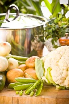Vegetables at harvest time Stock-Fotos