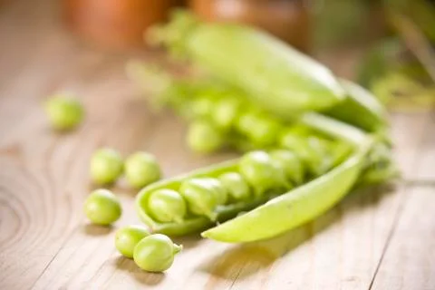 Vegetables at harvest time Foto stock