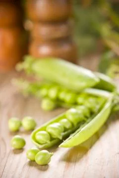 Vegetables at harvest time Stock-Fotos