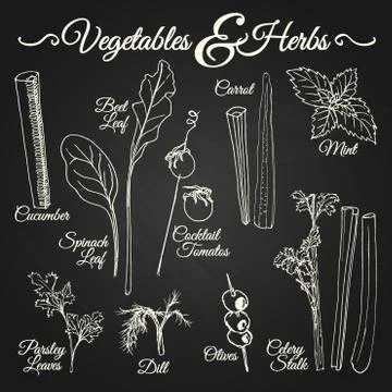 Vegetables &amp; herbs chalkboard Stockillustratie