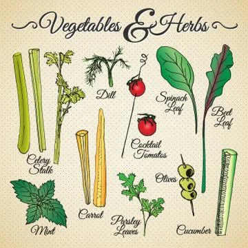 Vegetables &amp; herbs Stock Illustration