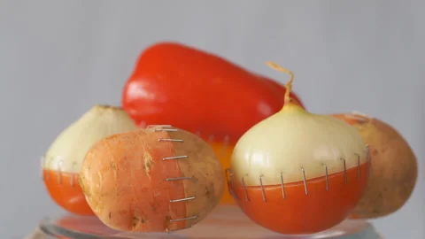 Vegetables hybrids. Genetically modified vegetables concept Video stock 104716863