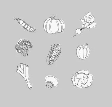 Vegetables icons in linear style Stock Illustration