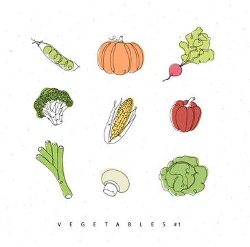 Vegetables icons in linear style Stock Illustration