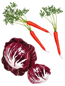 Vegetables Stock Illustration