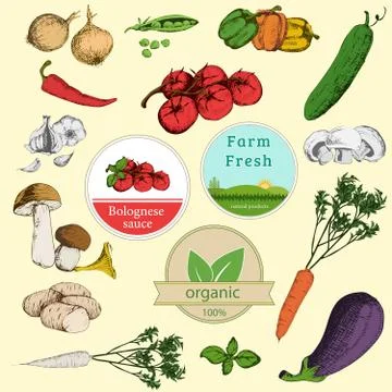 Vegetables Stock Illustration