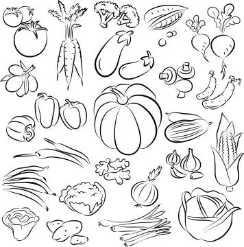 Vegetables 스톡 일러스트