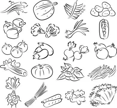 Vegetables 스톡 일러스트