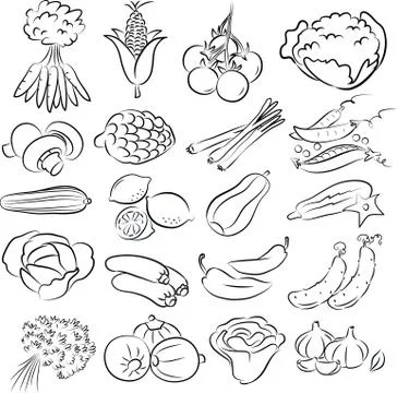 Vegetables 스톡 일러스트