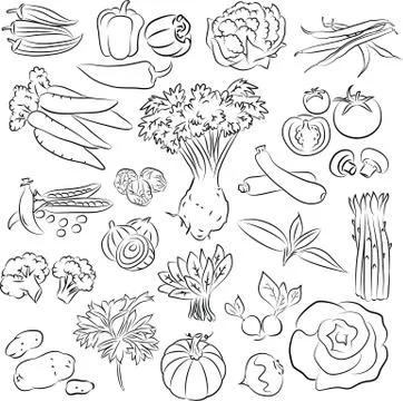 Vegetables 스톡 일러스트