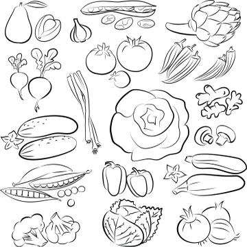 Vegetables 스톡 일러스트