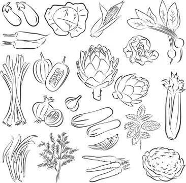Vegetables 스톡 일러스트