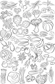 Vegetables 스톡 일러스트