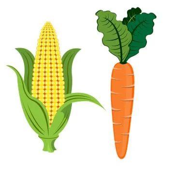 Vegetables Stock Illustration