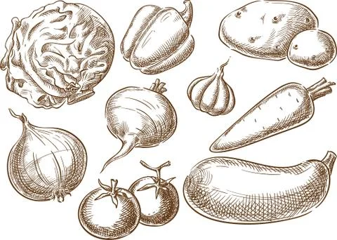 Vegetables. Stock Illustration