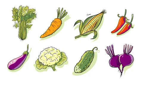 Vegetables Stock Illustration