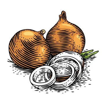 Vegetables Stock Illustration