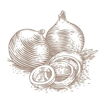 Vegetables Stock Illustration