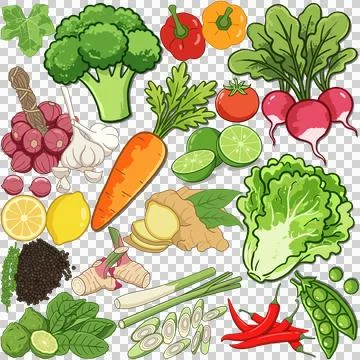Vegetables Stock-Illustration