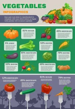Vegetables Infographic Set Stock Illustration
