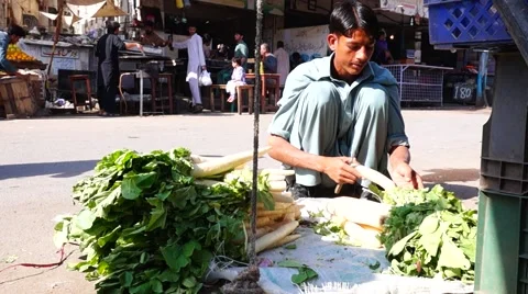 Vegetables job 스톡 동영상 58261096