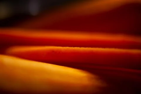 Vegetables in the kitchen before cooking Stock Photos